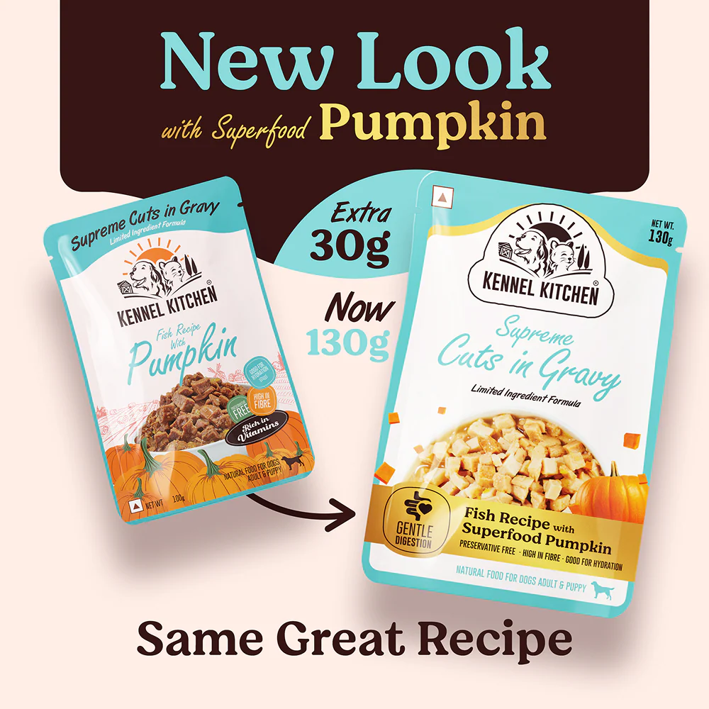 Kennel Kitchen Supreme Cuts in Gravy Fish Recipe with Pumpkin Puppy & Adult Dog Wet Food (All Life Stage) - Image 6