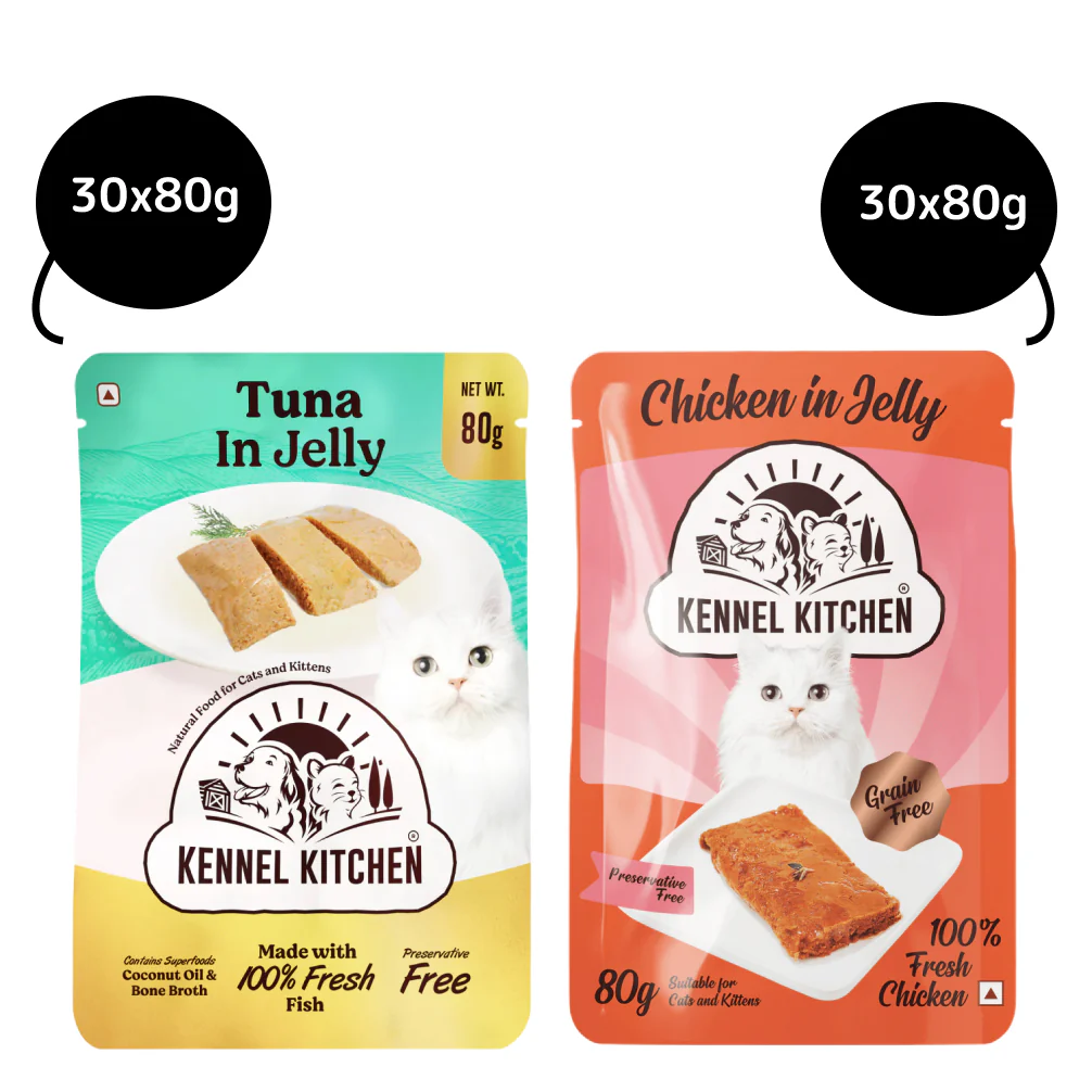 Kennel Kitchen Tuna in Jelly and Chicken in Jelly Kitten & Adult Cat Wet Food (All Life Stage) Combo - Image 4