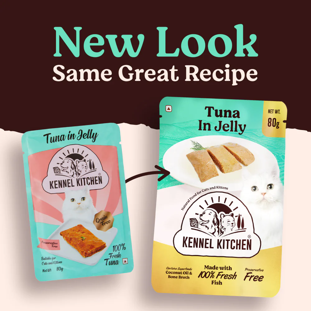 Kennel Kitchen Tuna in Jelly Kitten & Adult Cat Wet Food (All Life Stage) - Image 13