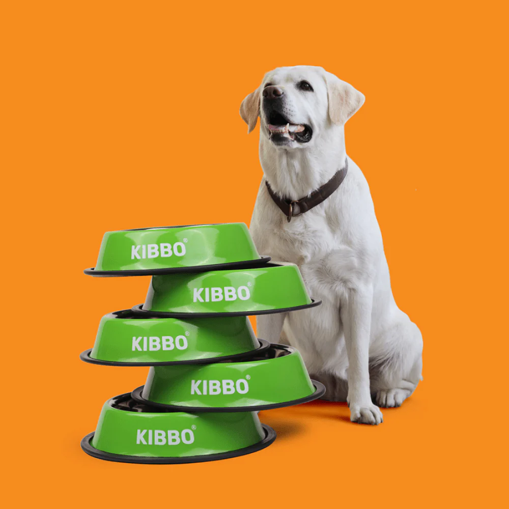 Kibbo Anti Skid Stainless Steel Bowl for Dogs and Cats (Green) - Image 6