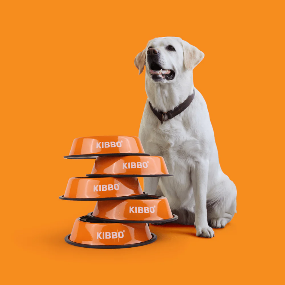 Kibbo Anti Skid Stainless Steel Bowl for Dogs and Cats (Orange) - Image 6