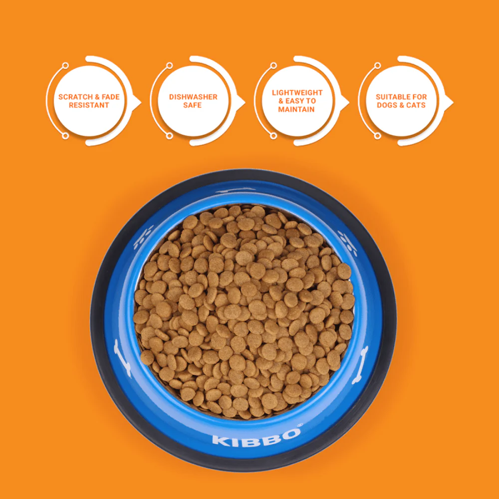 Kibbo Anti Skid Stainless Steel Printed Bowl for Dogs and Cats (Blue) - Image 2