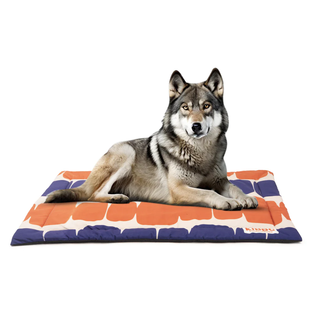 Kibbo Lightweight and Portable Mats for Dogs and Cats (Orange/Blue) - Image 2