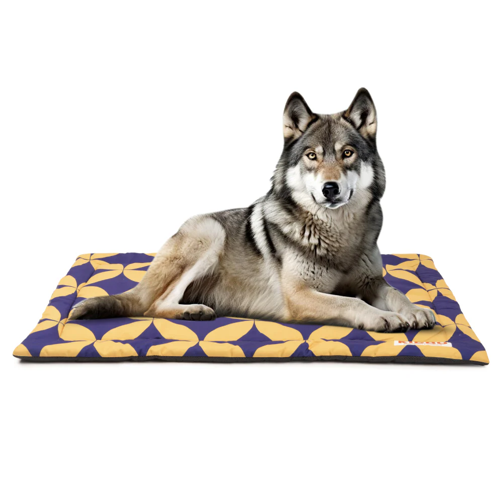 Kibbo Lightweight and Portable Mats for Dogs and Cats (Yellow & Purple) - Image 2