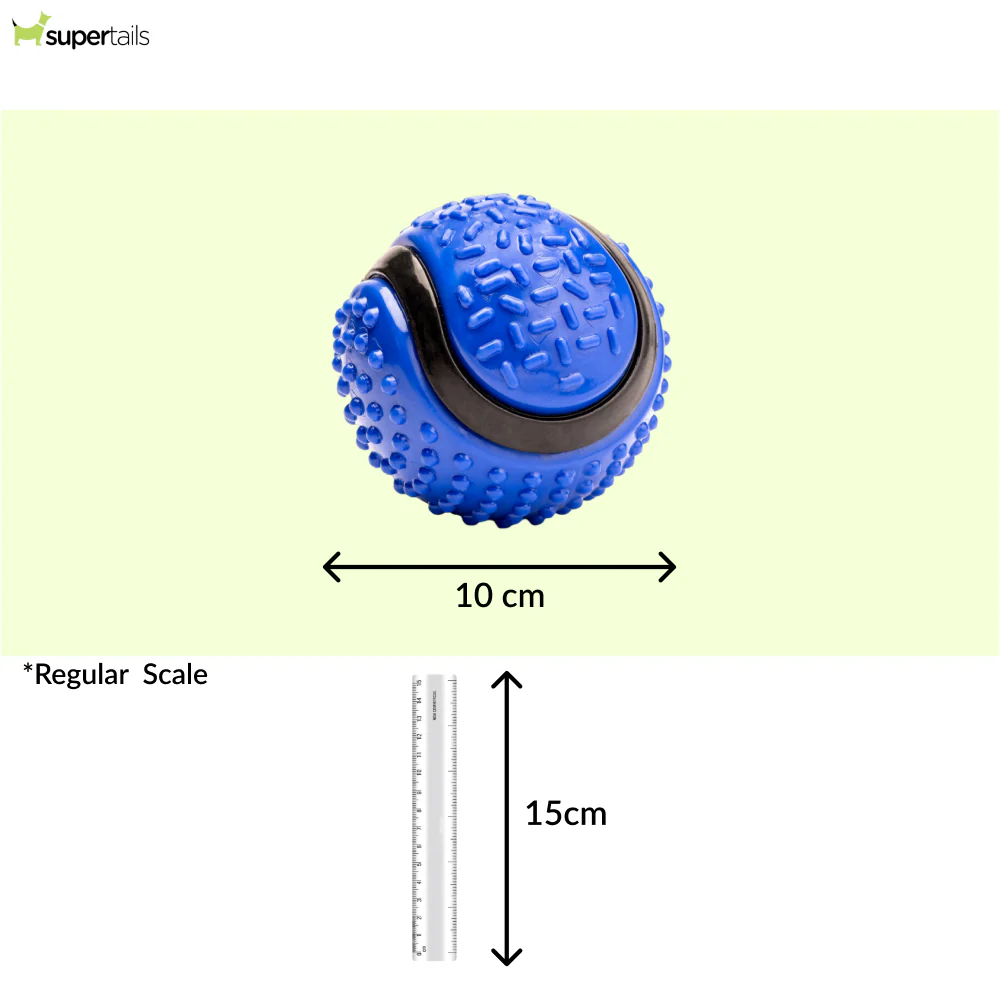Kibbo Non Toxic Dotted Rubber Big Ball Chew Toy for Dogs and Cat (Blue) - Image 2