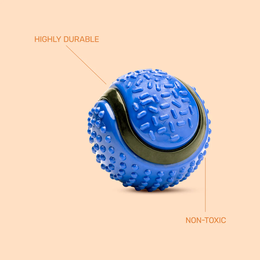 Kibbo Non Toxic Dotted Rubber Big Ball Chew Toy for Dogs and Cat (Blue) - Image 4