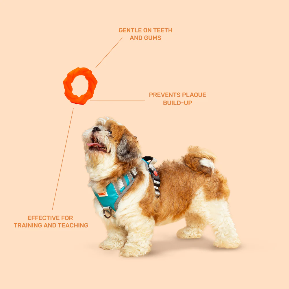 Kibbo Non Toxic Knotted Rubber Ring Chew Toy for Dogs and Cat (Orange) - Image 3