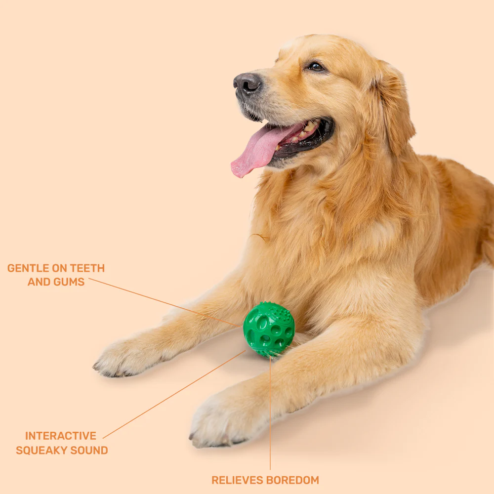 Kibbo Non Toxic Squeaky Rubber Ball Chew Toy for Dogs and Cat (Green) - Image 3