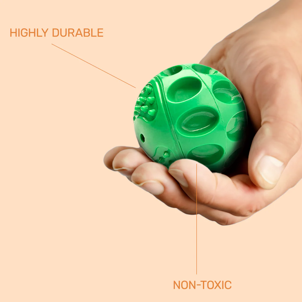 Kibbo Non Toxic Squeaky Rubber Ball Chew Toy for Dogs and Cat (Green) - Image 4