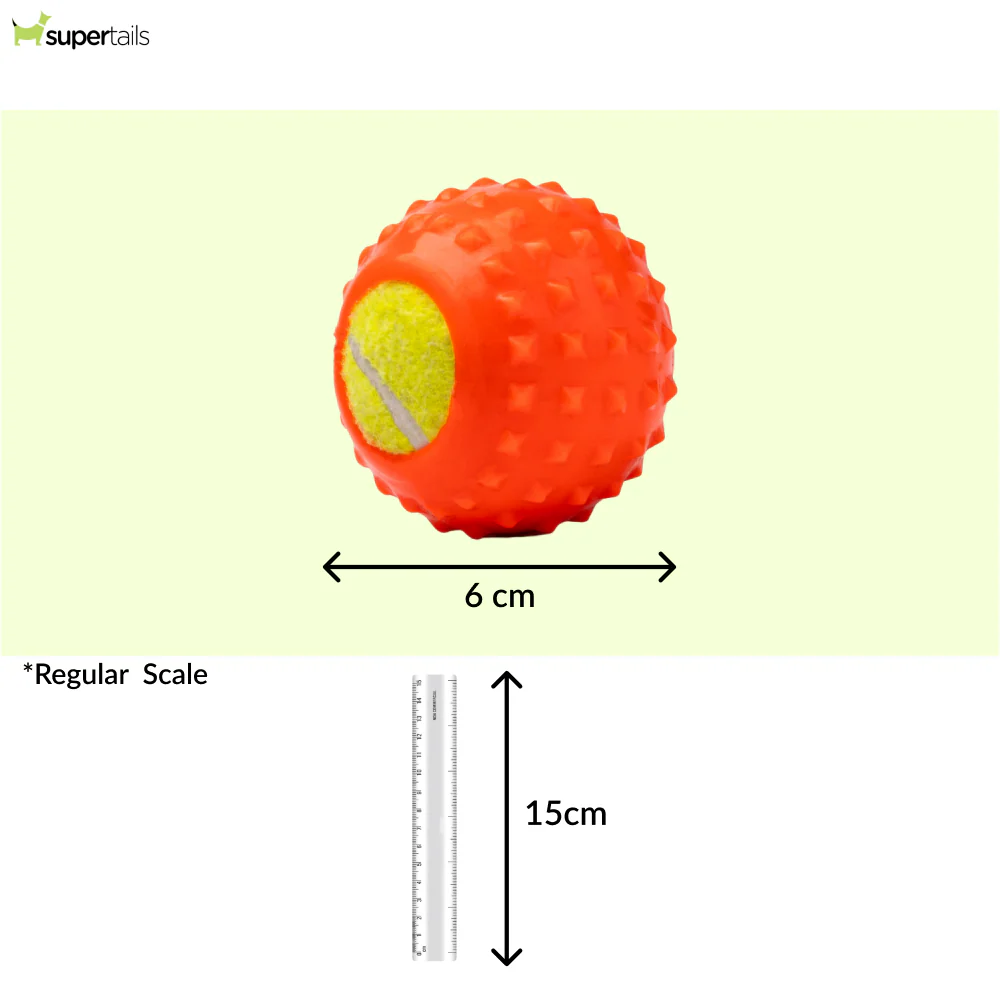 Kibbo Non Toxic Tennis Rubber Ball Chew Toy for Dogs and Cat (Orange) - Image 2