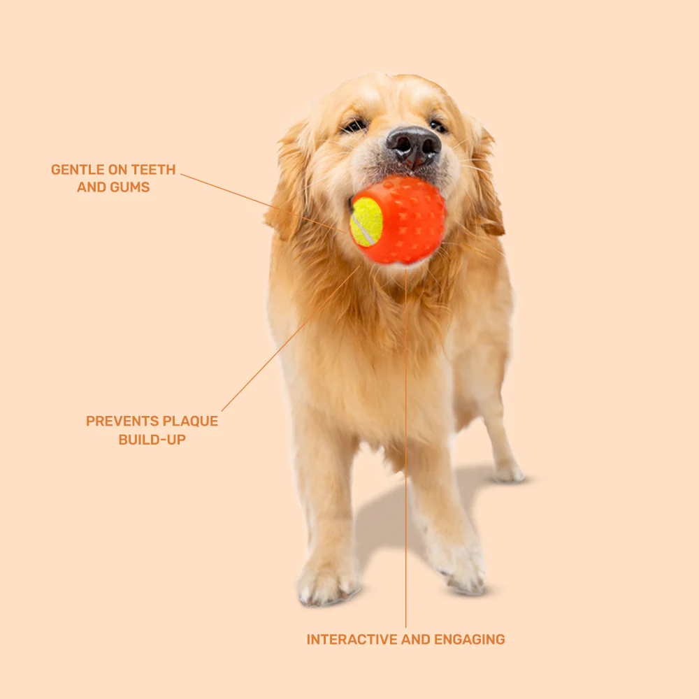 Kibbo Non Toxic Tennis Rubber Ball Chew Toy for Dogs and Cat (Orange) - Image 4