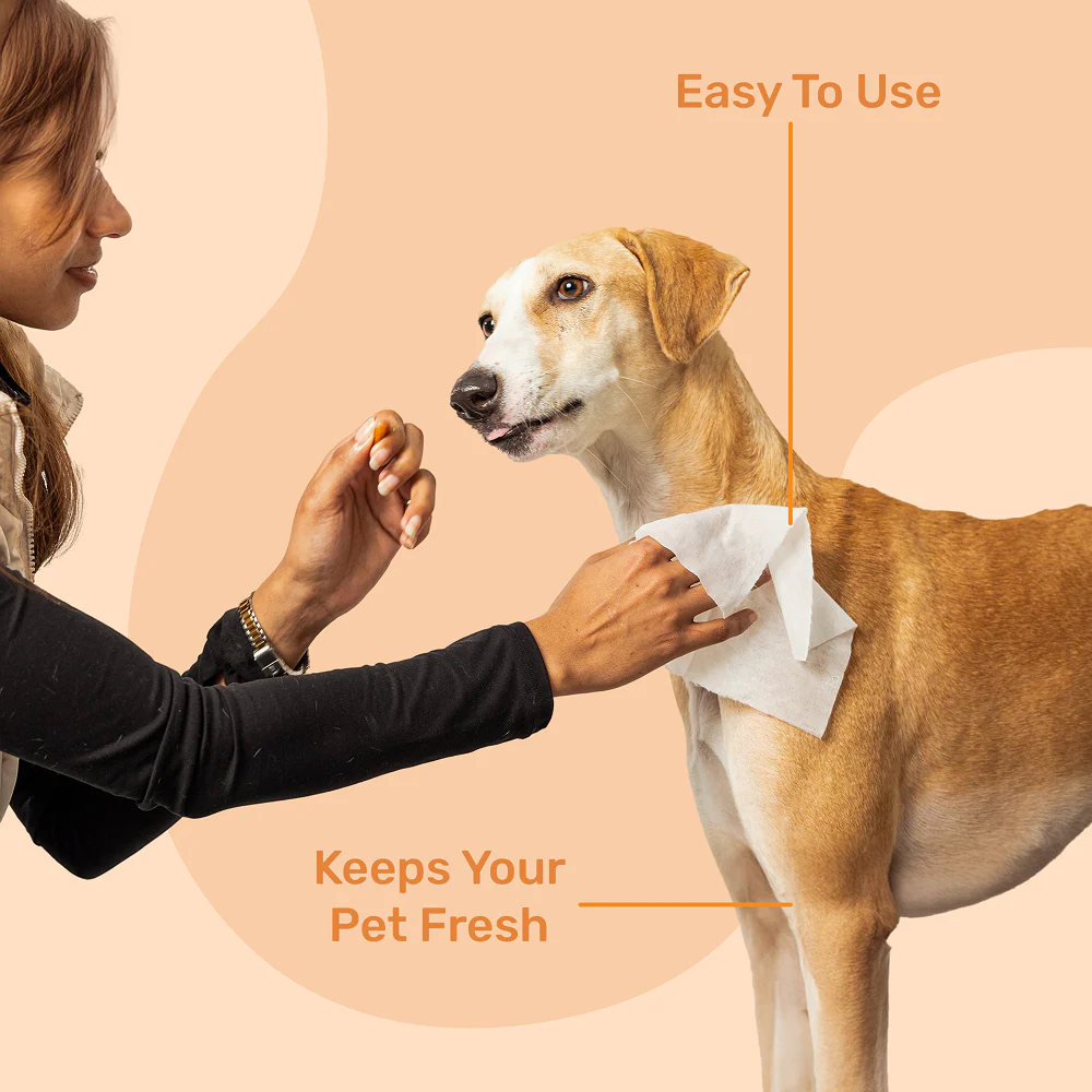 Kibbo Paraben Free and Non Toxic Wipes for Dogs and Cats - Image 5