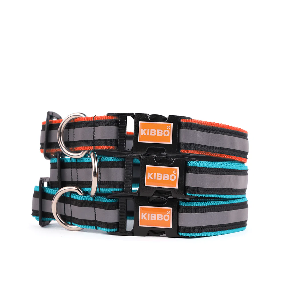 Kibbo Premium Nylon Collar with Buckle and D Ring For Dogs (Sea Green, Red/Pack of 3) - Image 14