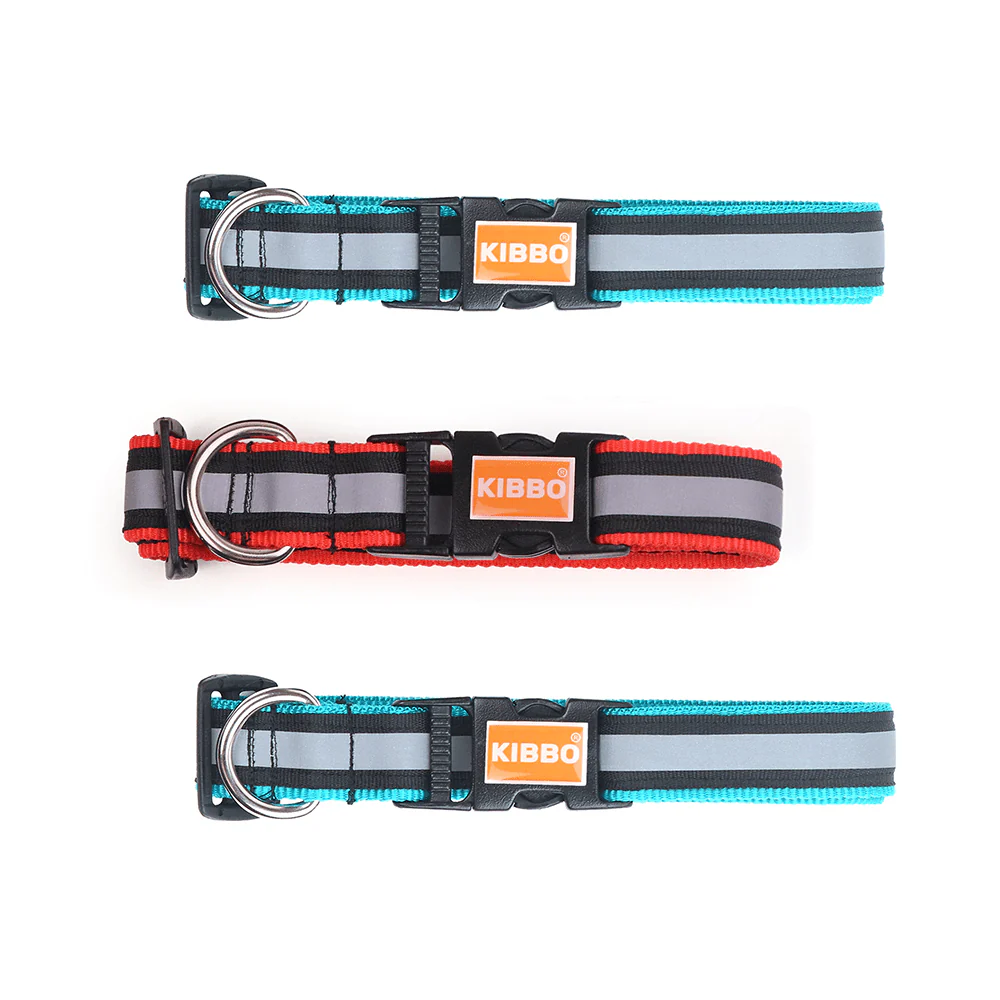 Kibbo Premium Nylon Collar with Buckle and D Ring For Dogs (Sea Green, Red/Pack of 3) - Image 3