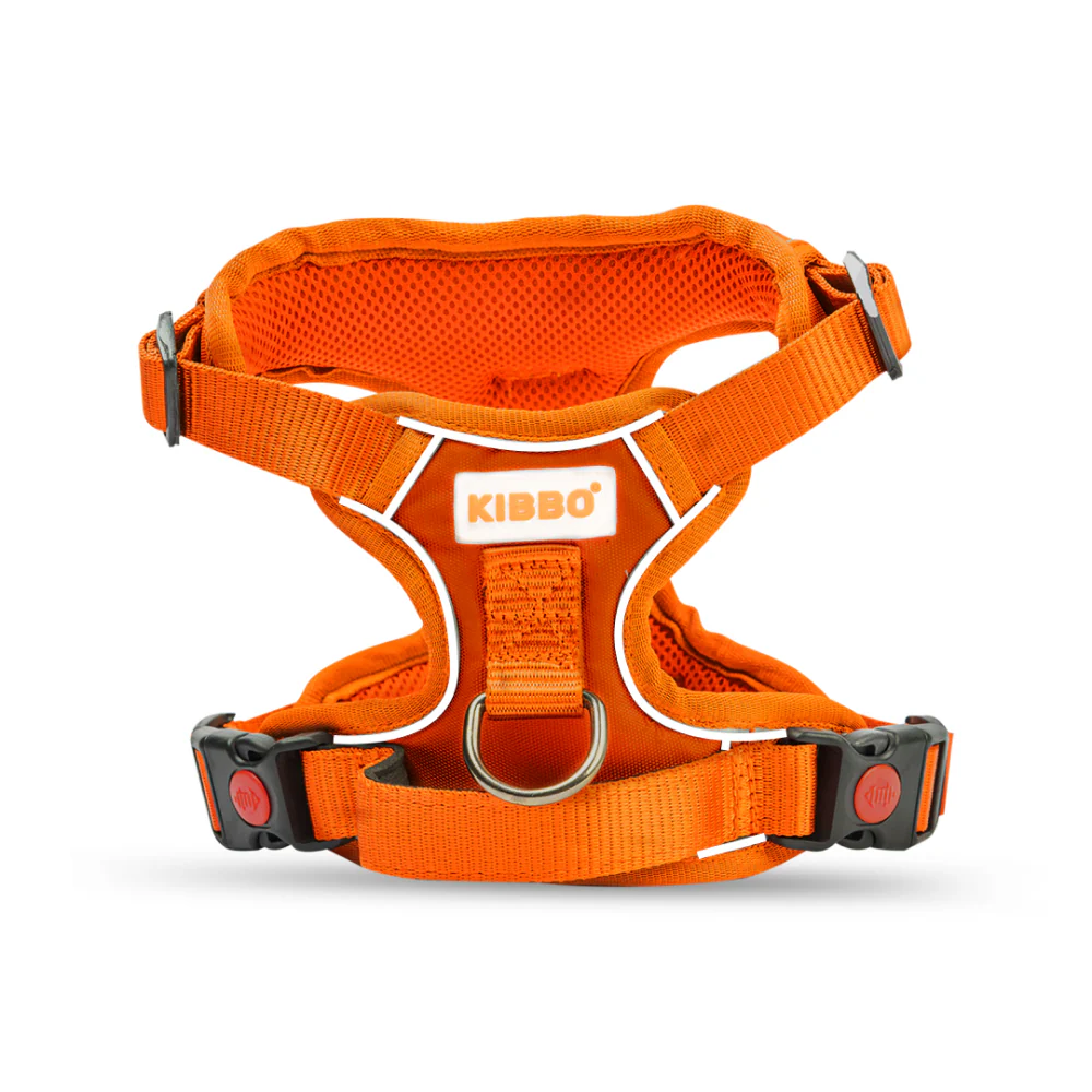 Kibbo Reflective Vest Harness with Dual Lock Buckle for Dogs (Orange) - Image 10