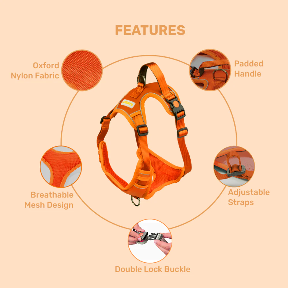 Kibbo Reflective Vest Harness with Dual Lock Buckle for Dogs (Orange) - Image 3