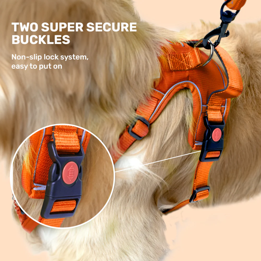 Kibbo Reflective Vest Harness with Dual Lock Buckle for Dogs (Orange) - Image 6