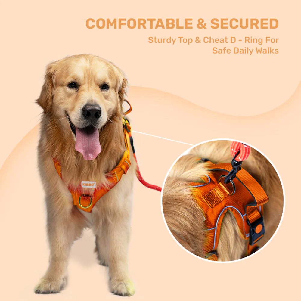 Kibbo Reflective Vest Harness with Dual Lock Buckle for Dogs (Orange) - Image 7