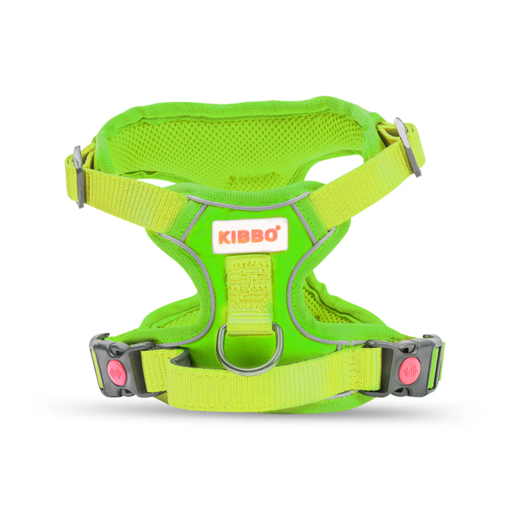 Kibbo Reflective Vest Harness with Dual Lock Buckle for Dogs (Parrot Green) - Image 10