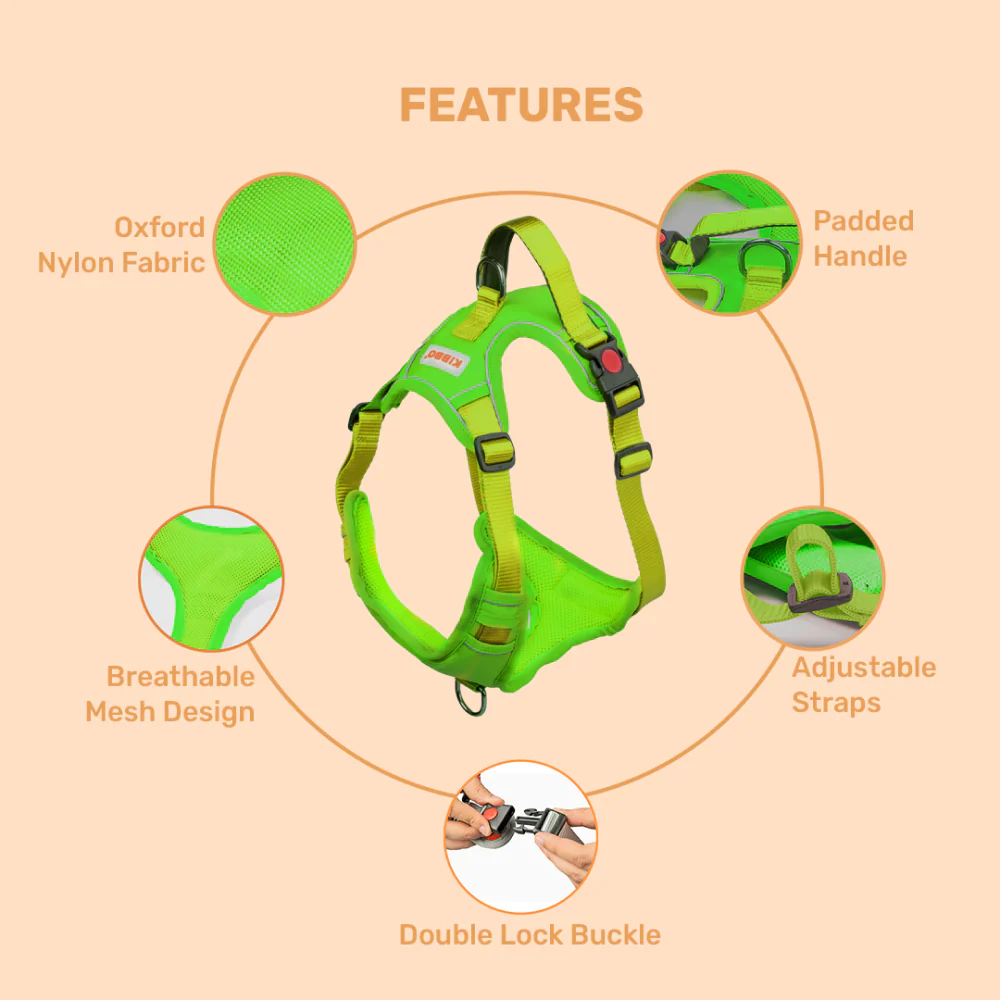Kibbo Reflective Vest Harness with Dual Lock Buckle for Dogs (Parrot Green) - Image 3