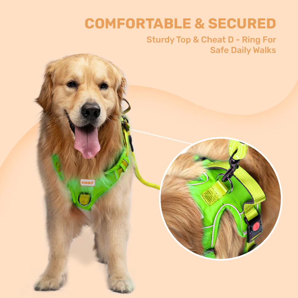 Kibbo Reflective Vest Harness with Dual Lock Buckle for Dogs (Parrot Green) - Image 4
