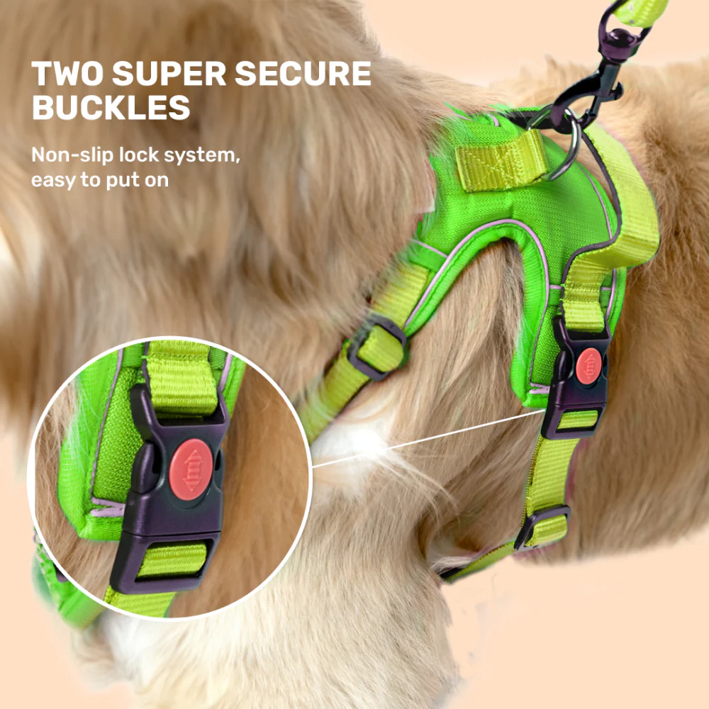 Kibbo Reflective Vest Harness with Dual Lock Buckle for Dogs (Parrot Green) - Image 6