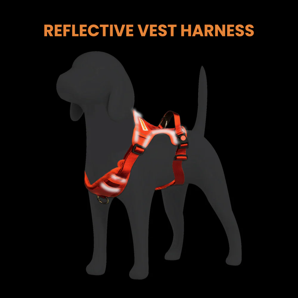 Kibbo Reflective Vest Harness with Dual Lock Buckle for Dogs (Orange) - Image 8