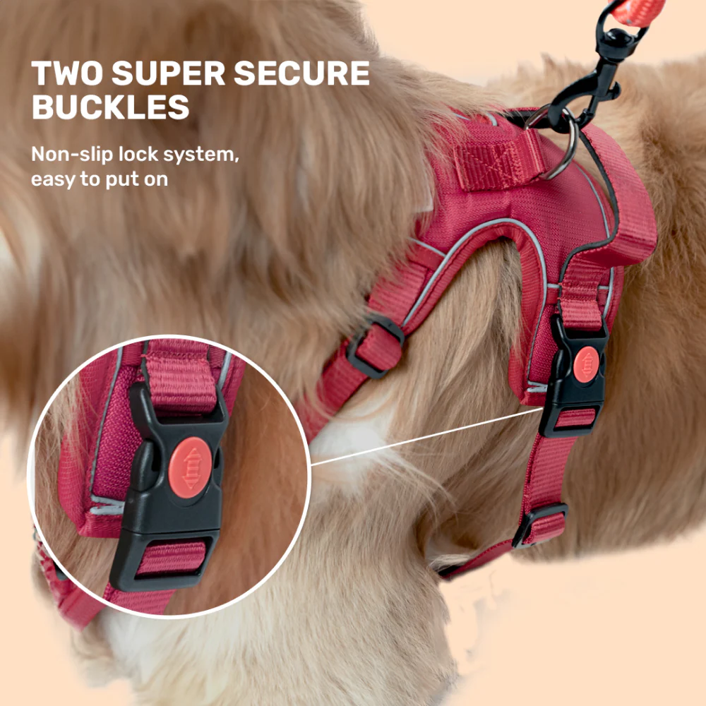 Kibbo Reflective Vest Harness with Dual Lock Buckle for Dogs (Pink) - Image 6