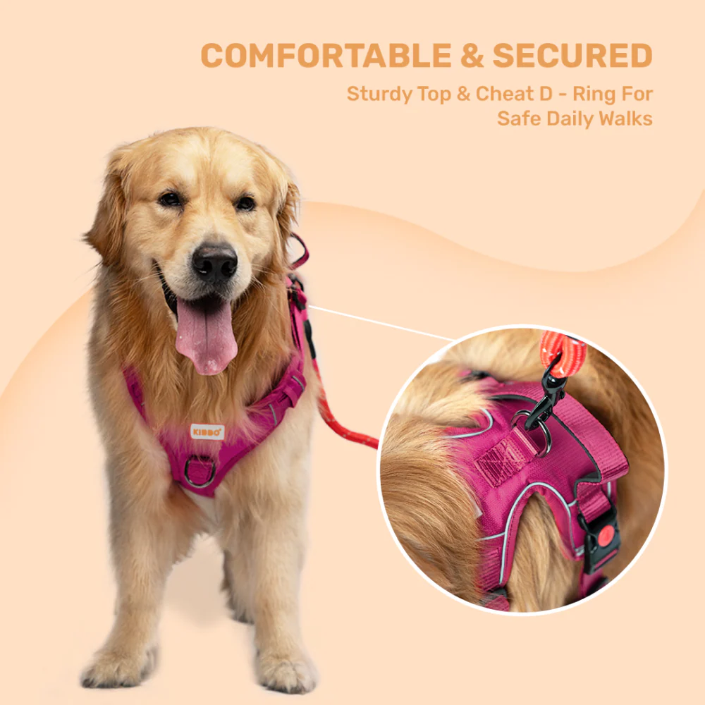 Kibbo Reflective Vest Harness with Dual Lock Buckle for Dogs (Pink) - Image 8