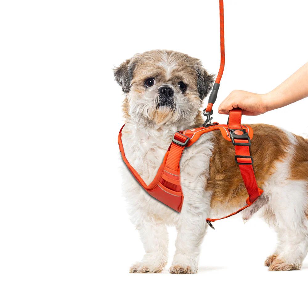 Kibbo Reflective Vest Harness with Dual Lock Buckle for Dogs (Red) - Image 3
