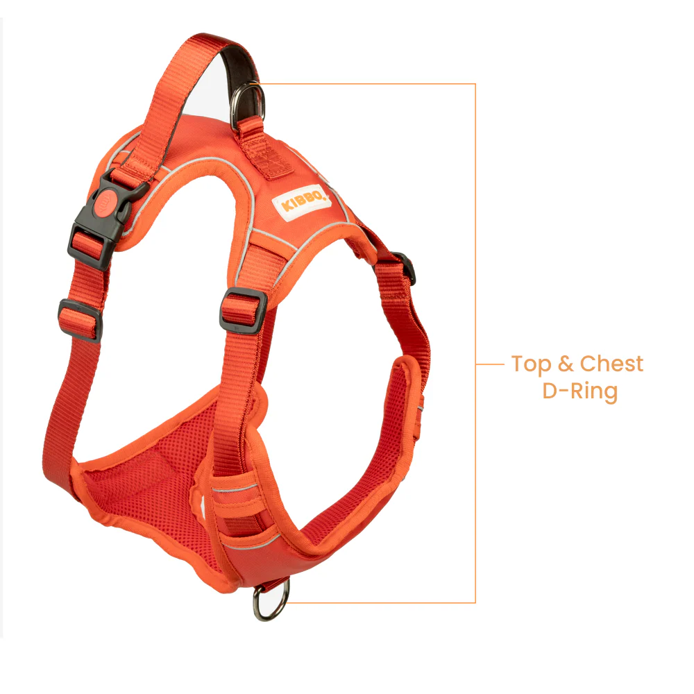 Kibbo Reflective Vest Harness with Dual Lock Buckle for Dogs (Red) - Image 5