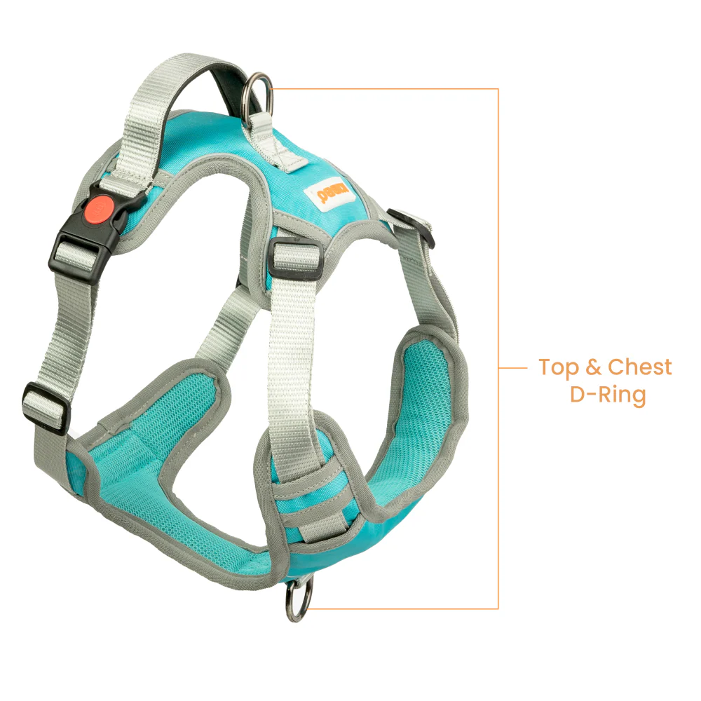 Kibbo Reflective Vest Harness with Dual Lock Buckle for Dogs (Sea Green) - Image 4