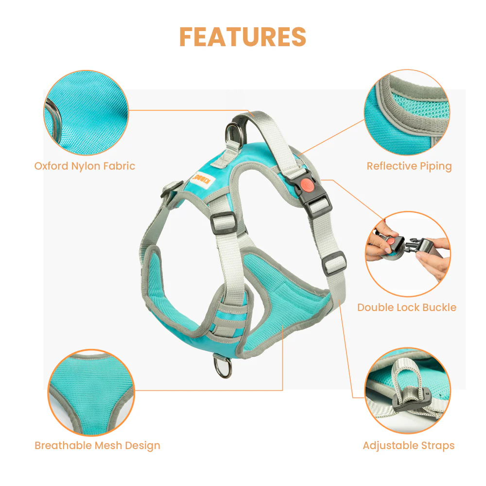 Kibbo Reflective Vest Harness with Dual Lock Buckle for Dogs (Sea Green) - Image 5