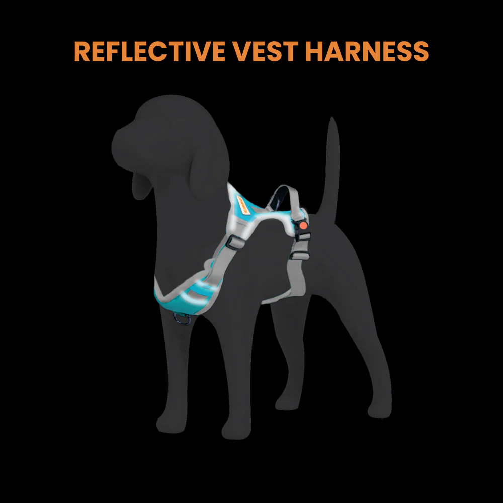 Kibbo Reflective Vest Harness with Dual Lock Buckle for Dogs (Sea Green) - Image 6