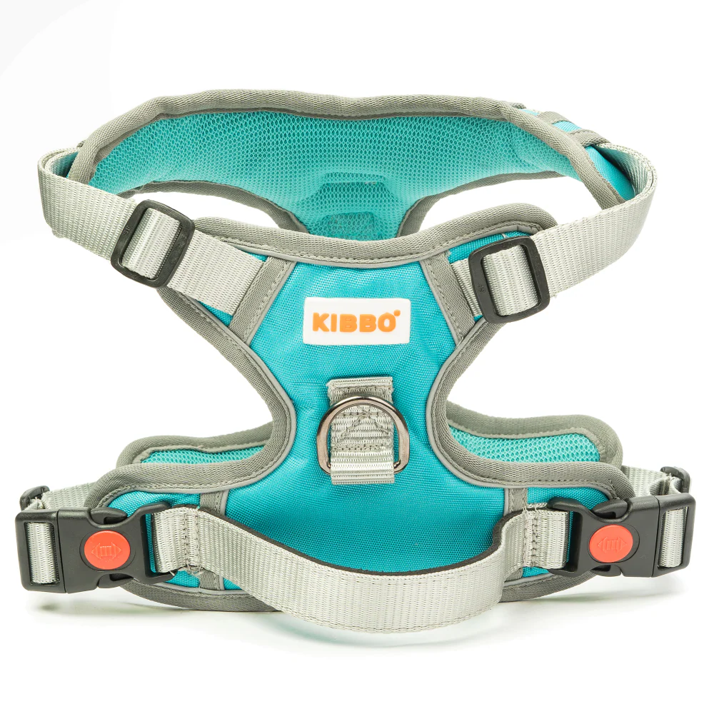 Kibbo Reflective Vest Harness with Dual Lock Buckle for Dogs (Sea Green) - Image 8