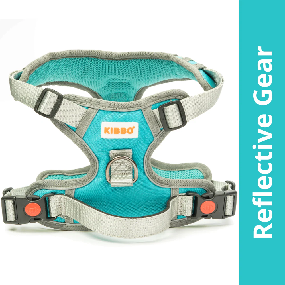 Kibbo Reflective Vest Harness with Dual Lock Buckle for Dogs (Sea Green)
