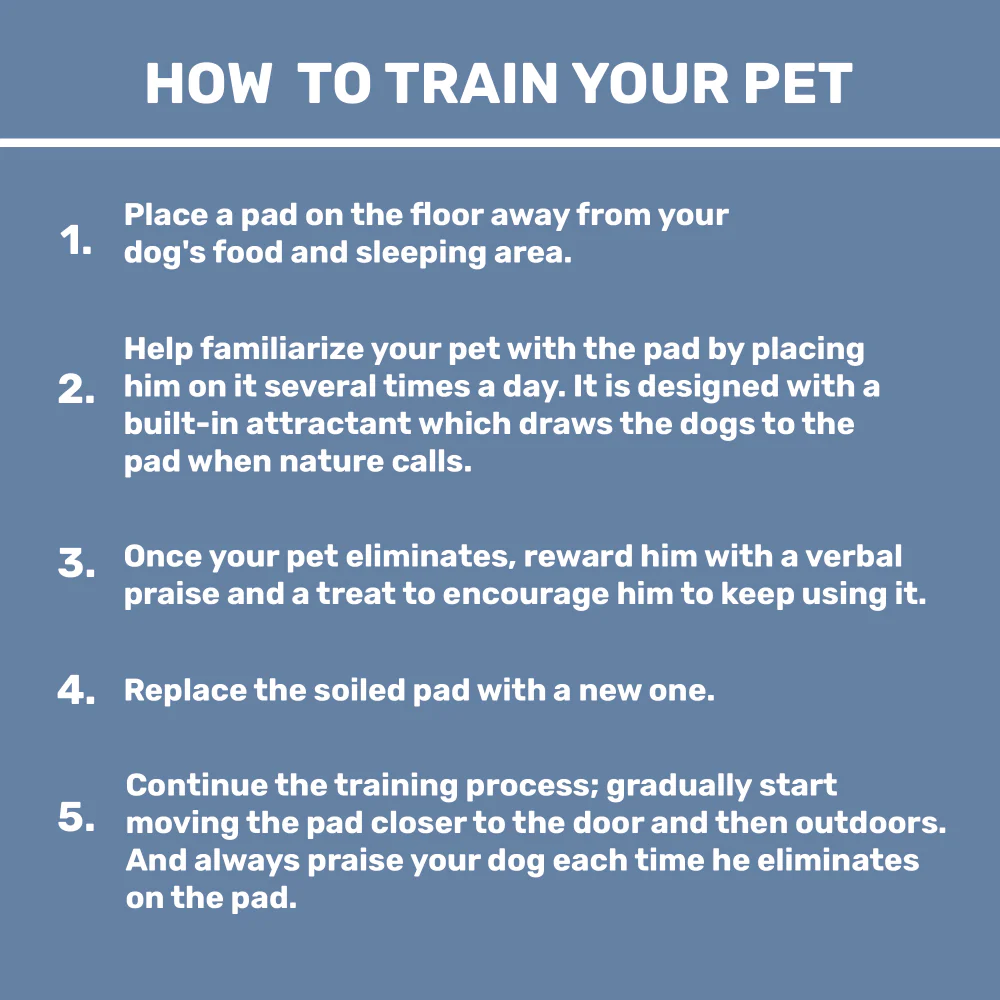 Kibbo Ultra Absorbent Leak Proof Training Pads for Dogs & Cats (45x60cm) - Image 6