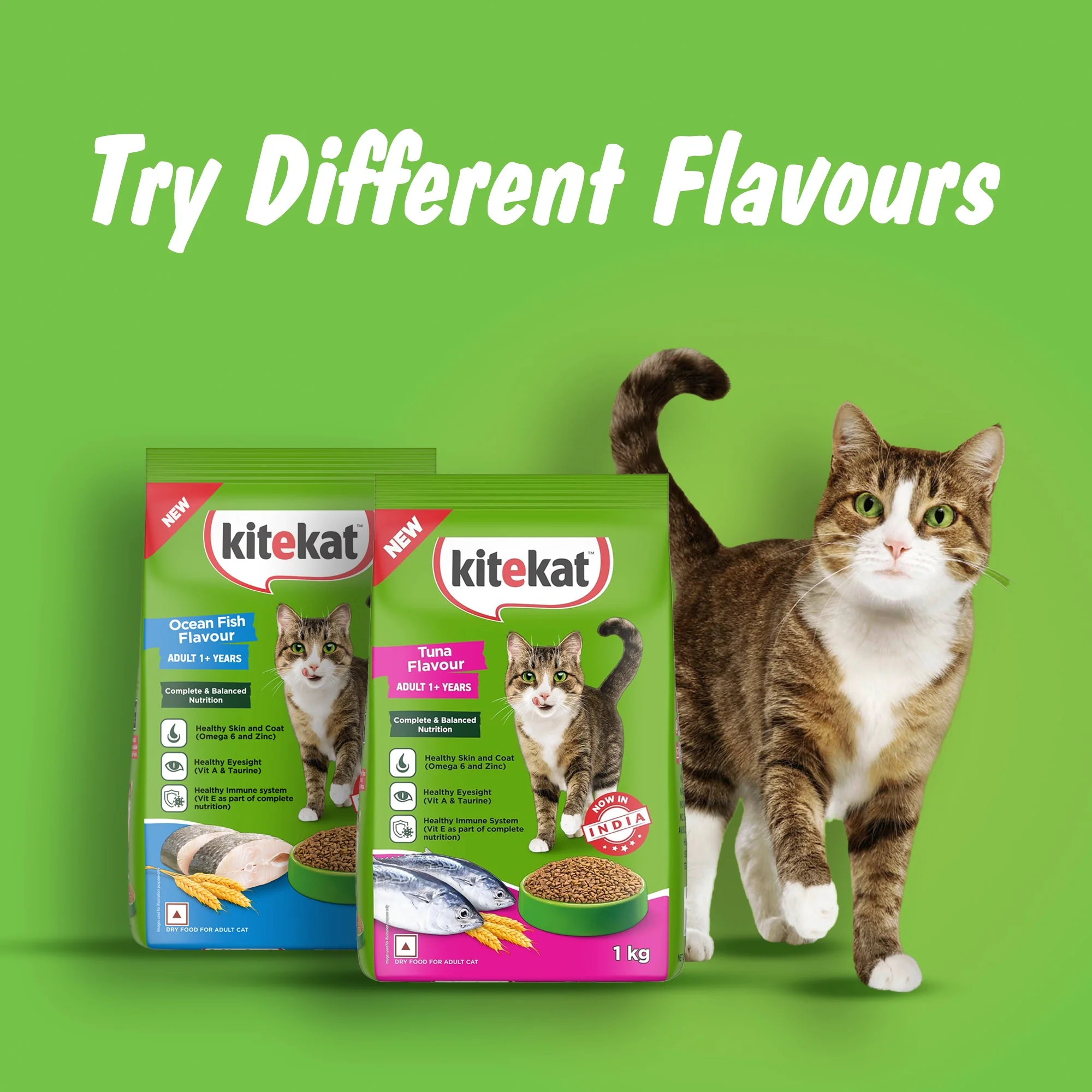 Kitekat Ocean Fish Adult Cat Dry Food - Image 14