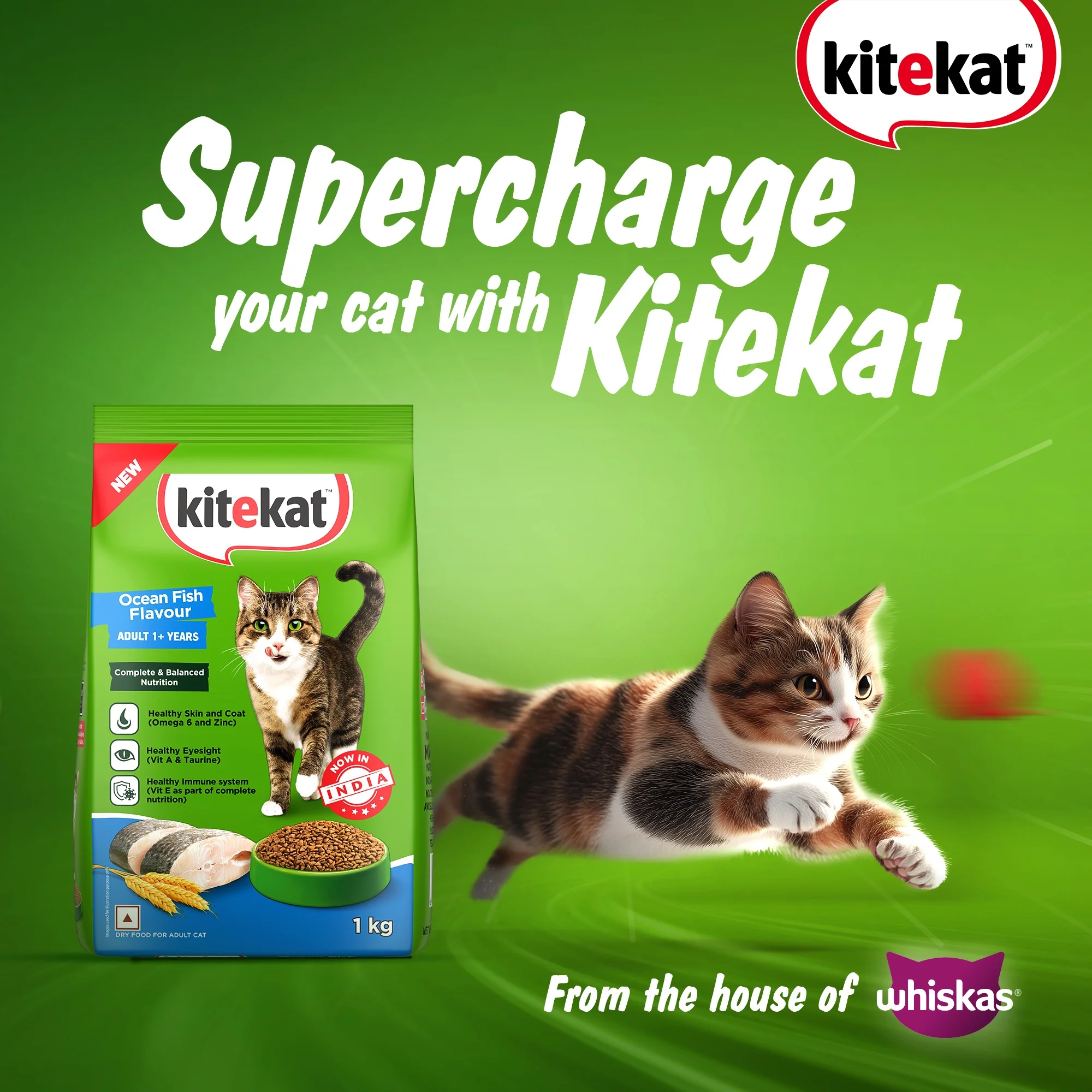 Kitekat Ocean Fish Adult Cat Dry Food - Image 15