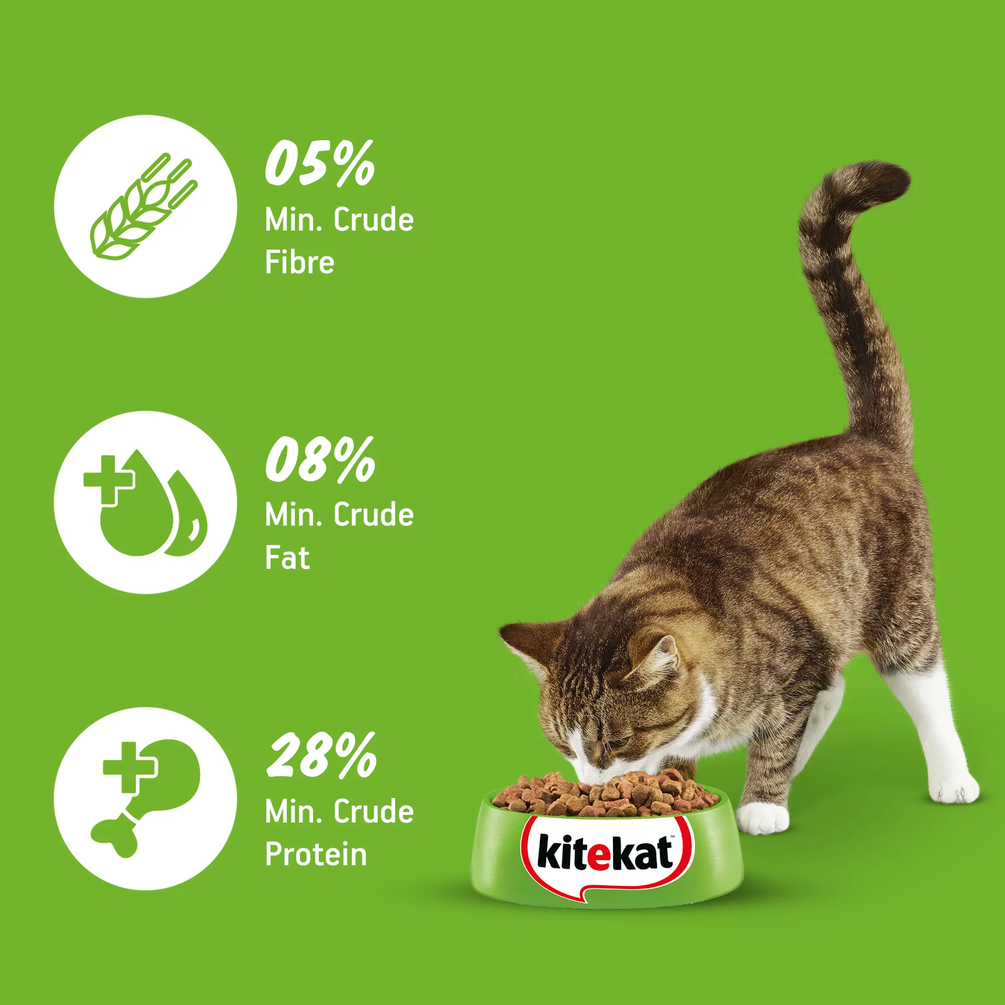 Kitekat Ocean Fish Adult Cat Dry Food - Image 3