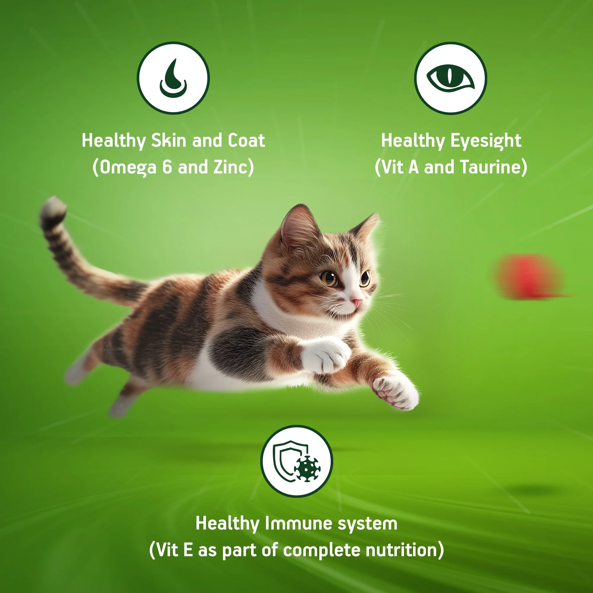 Kitekat Ocean Fish Adult Cat Dry Food - Image 4