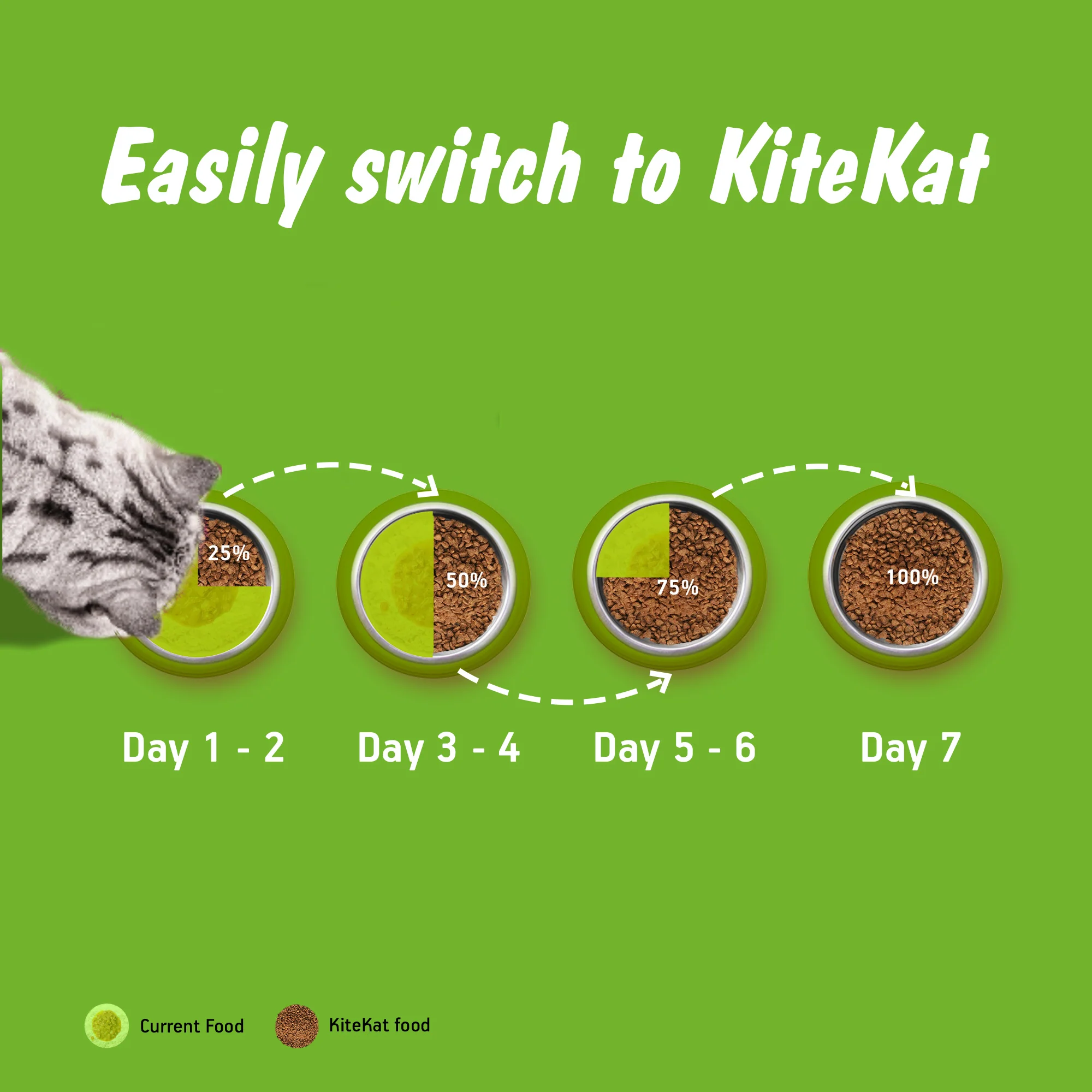Kitekat Ocean Fish Adult Cat Dry Food - Image 7