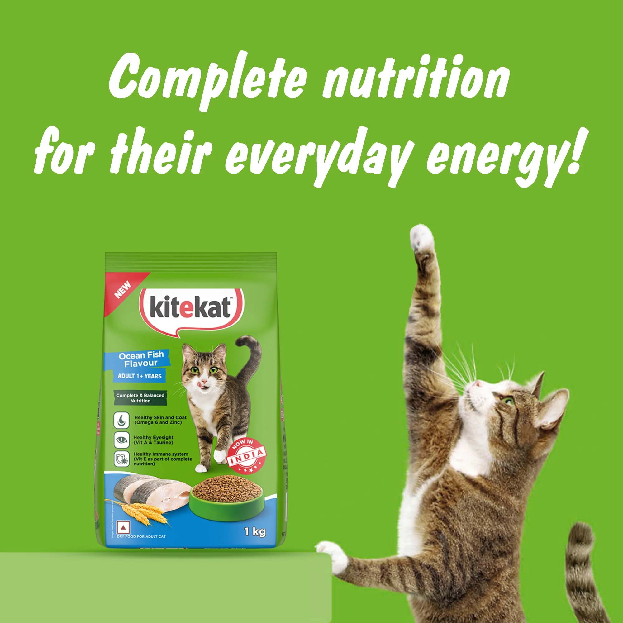 Kitekat Ocean Fish Adult Cat Dry Food - Image 8