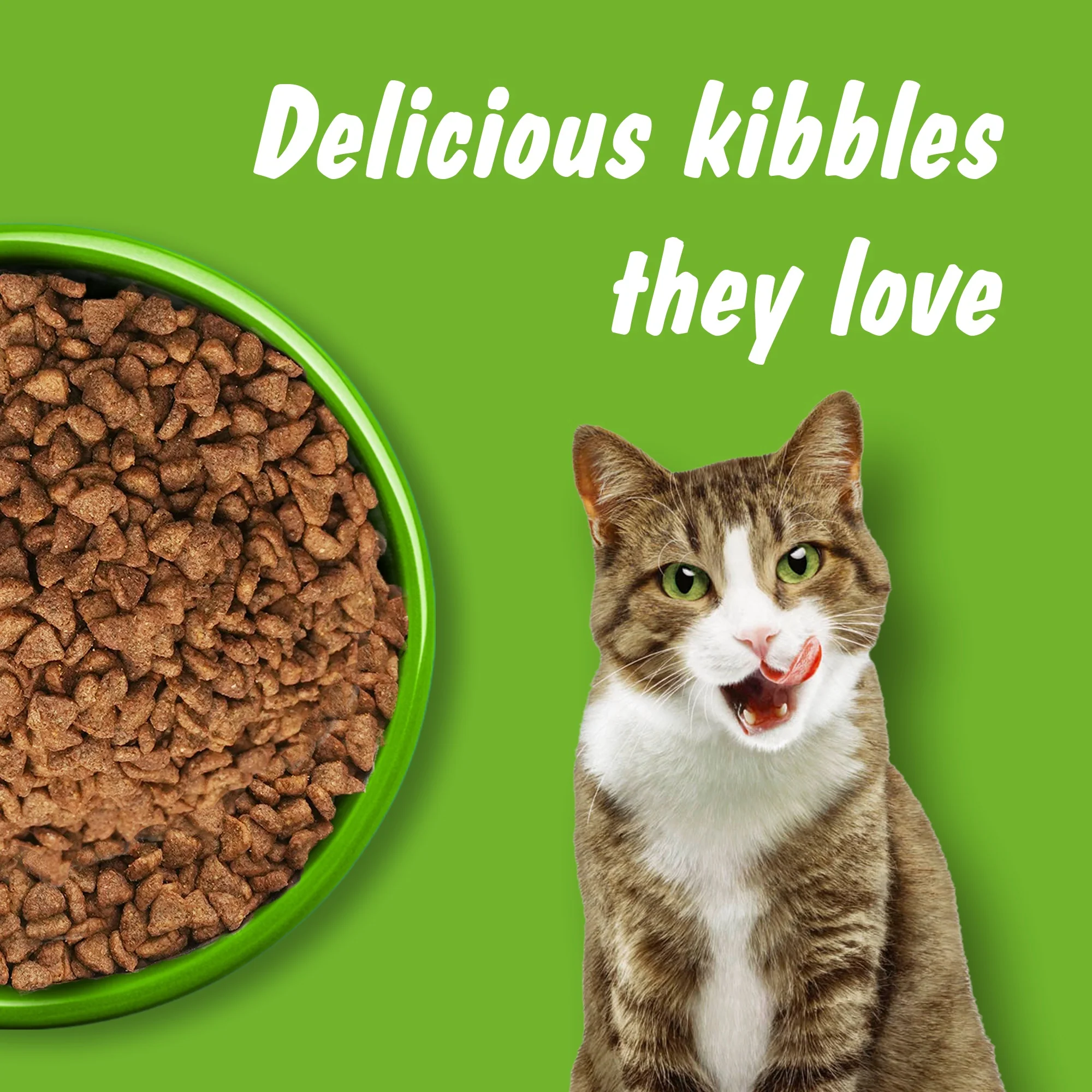 Kitekat Ocean Fish Adult Cat Dry Food - Image 9