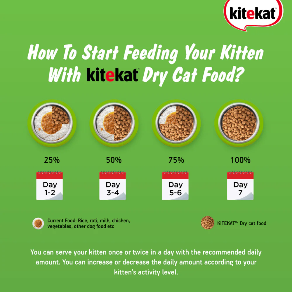 Kitekat Ocean Fish Kitten Dry Food - Image 4