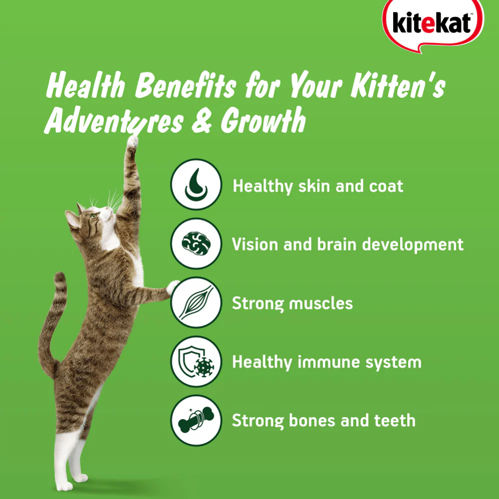 Kitekat Ocean Fish Kitten Dry Food - Image 5