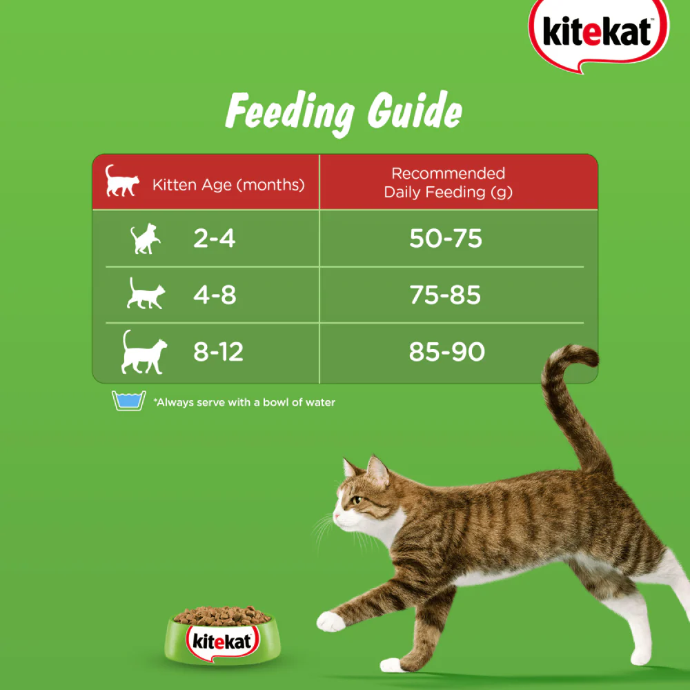 Kitekat Ocean Fish Kitten Dry Food - Image 7