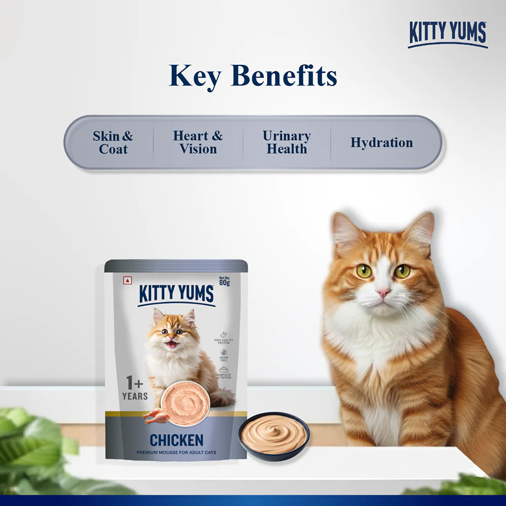 Kitty Yum Chicken Mousse Adult Cat Wet Food - Image 4