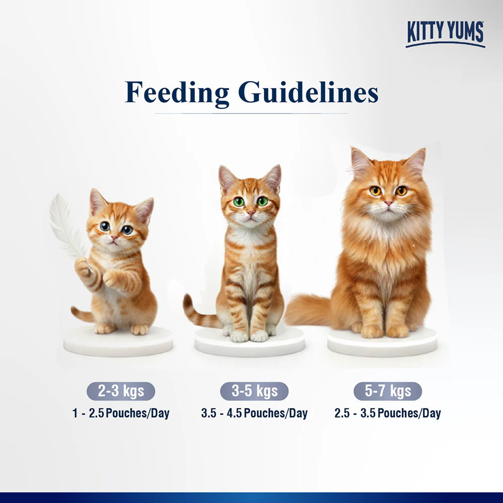 Kitty Yum Chicken Mousse Adult Cat Wet Food - Image 5