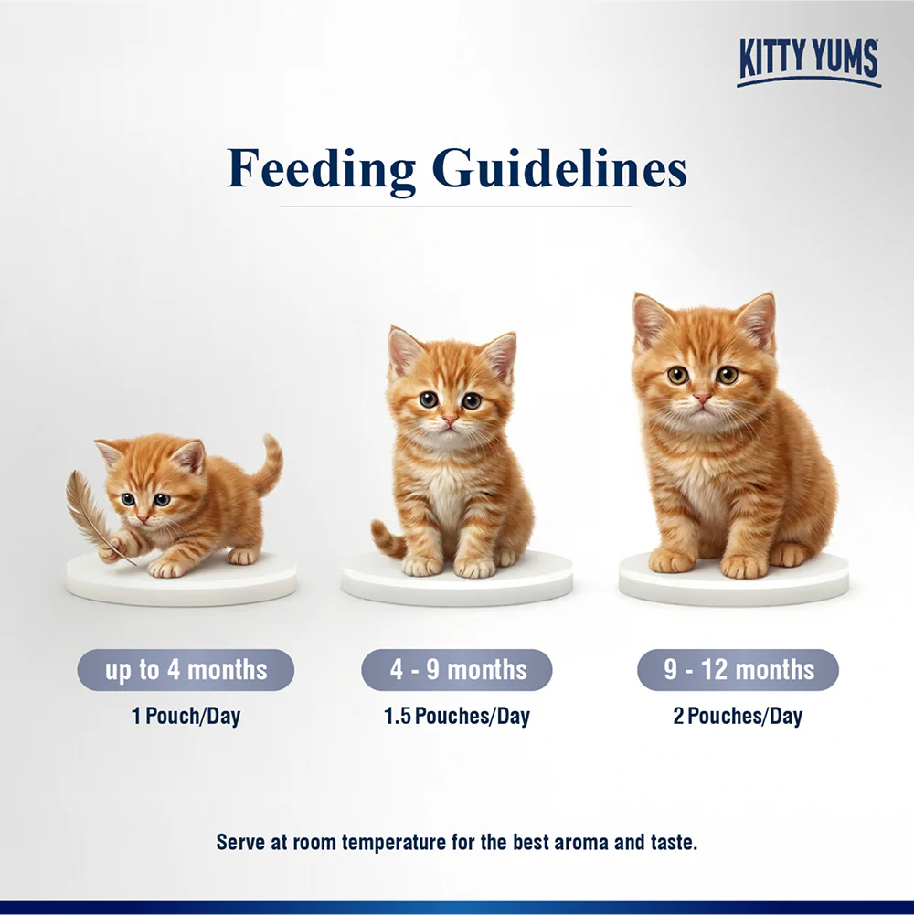 Kitty Yum Chicken Mousse Kitten Cat Wet Food - Image 5